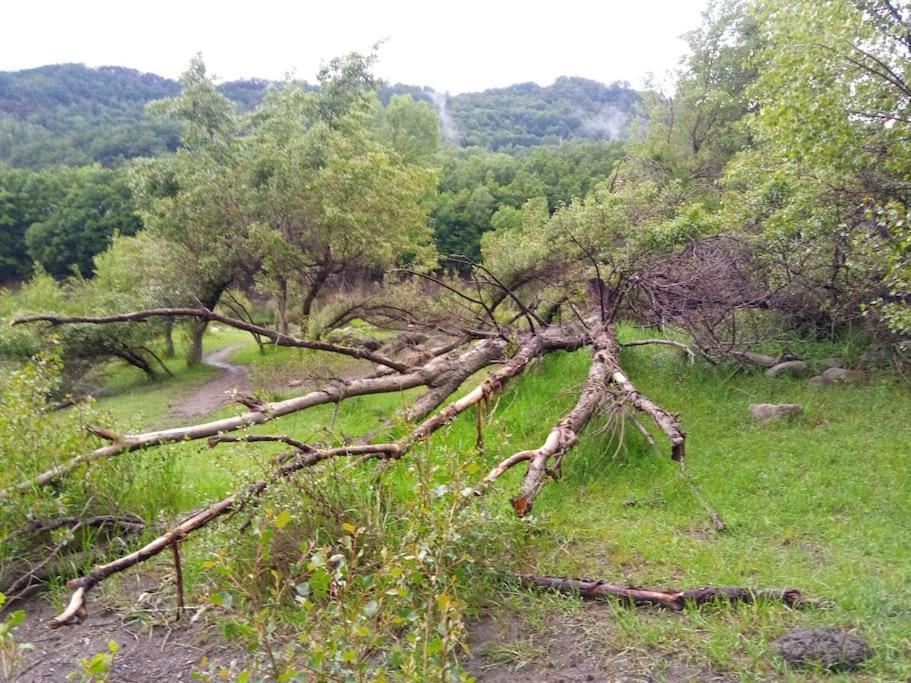 Atico En Pleno Pirineo El Pueyo de Jaca Exterior foto