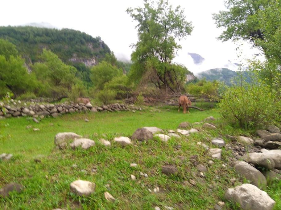 Atico En Pleno Pirineo El Pueyo de Jaca Exterior foto